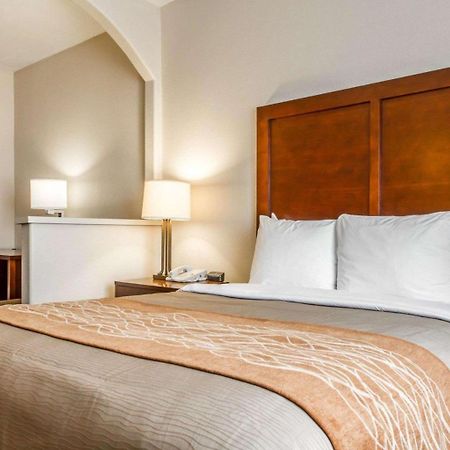 Comfort Inn & Suites Oakland Airport Bagian luar foto