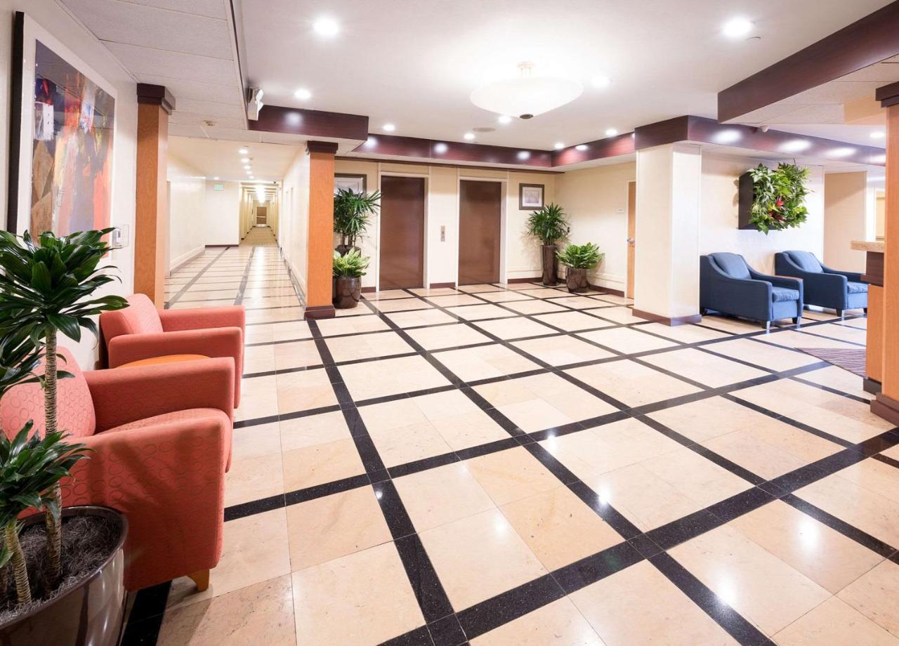 Comfort Inn & Suites Oakland Airport Bagian luar foto